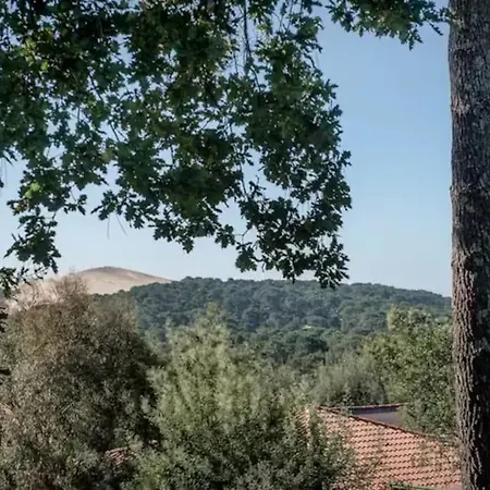 Pyla Villa De La Dune Promo Mai 2025 La Teste-de-Buch Exterior photo